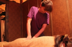 高島ゆき子／渋谷西口本店